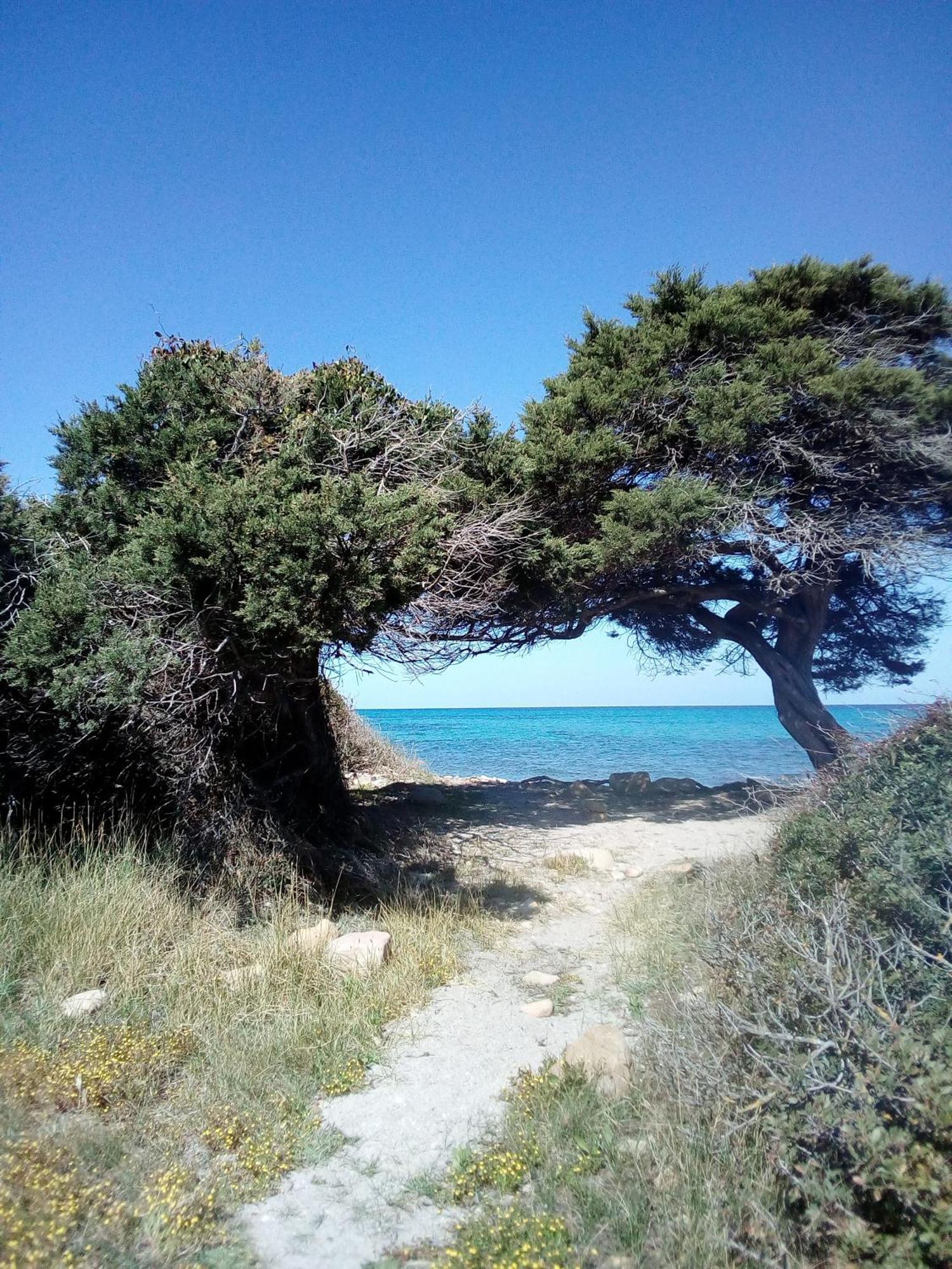 Summer Room- Fronte Spiaggia 拉卡勒塔 外观 照片